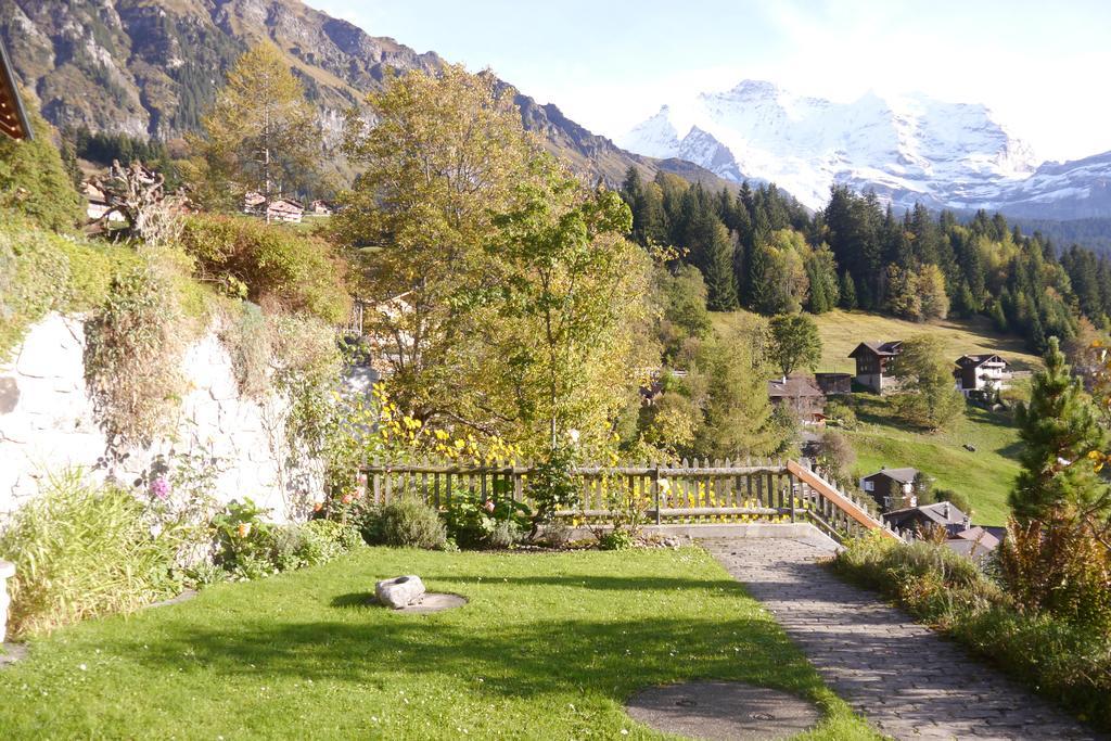 Chalet Acheregg Wengen Exteriér fotografie