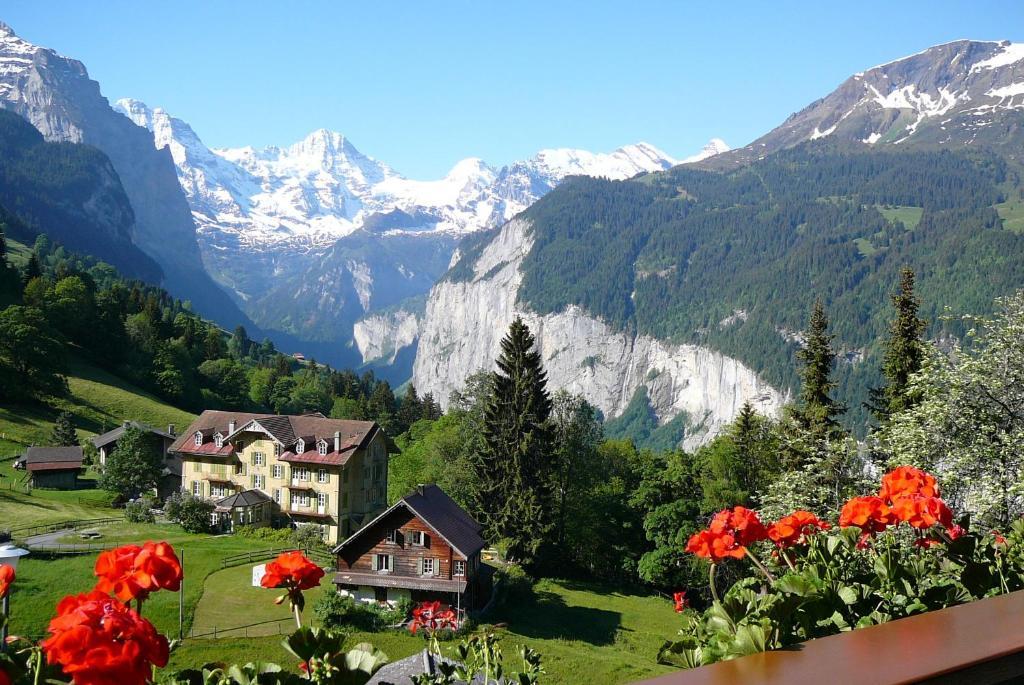 Chalet Acheregg Wengen Exteriér fotografie