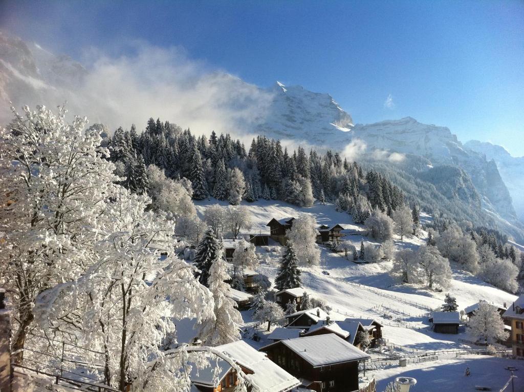 Chalet Acheregg Wengen Exteriér fotografie